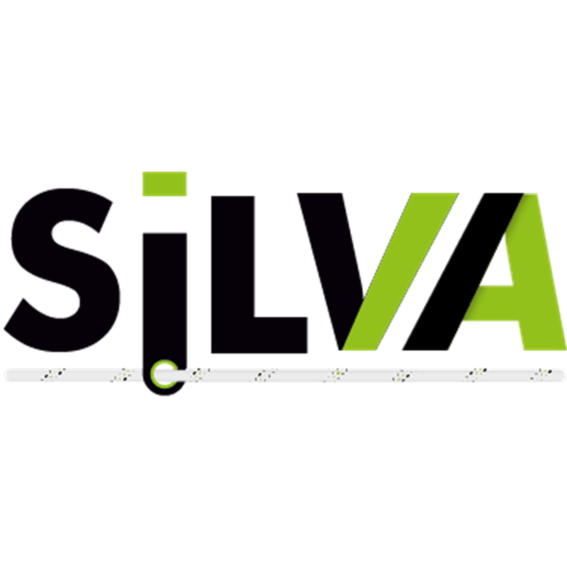 KRATOS SAFETY SILVA 2 – Y-Verbindungsmittel mit Aluminiumhaken – 1,50 m – FA4060115