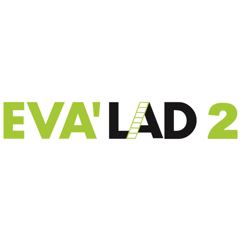KRATOS SAFETY EVA'LAD 2, Gurtband-Rettungsleiter, Länge 6 m, mit integriertem Sicherungssystem