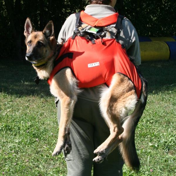 Alp Design Taxi – Produktbild 4